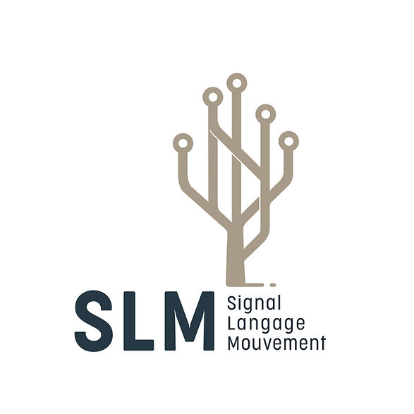 SLM SA